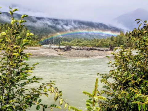 Rainbow in the mist