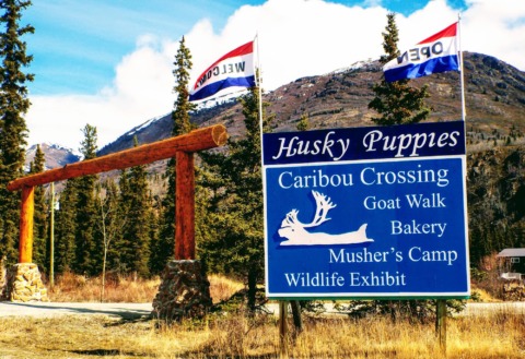 Welcome to Caribou Crossing