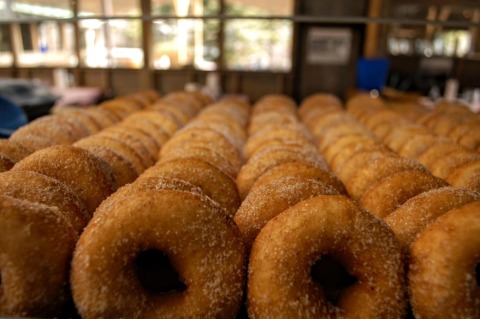 Made fresh daily - all you can eat delicious donuts!
