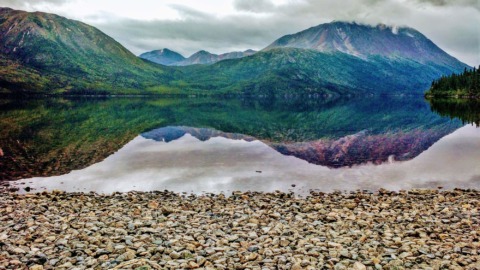 Moody and mystical wilderness