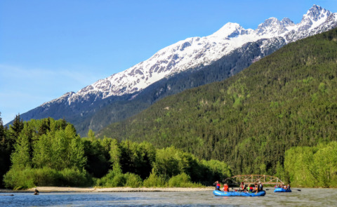Taiya River with Bald Eagle at waterline