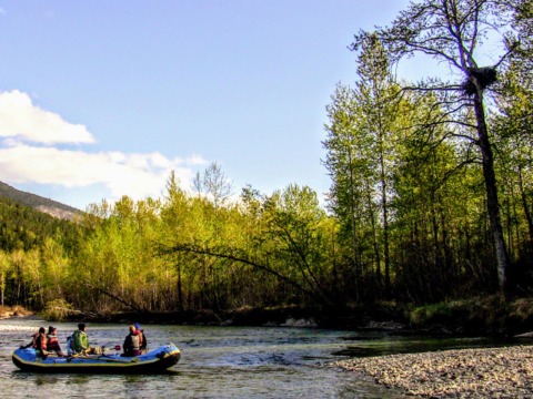 Floating by a Bald Eagle nest