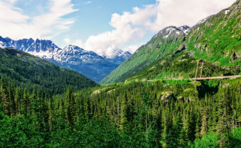 Moore Creek bridge overlook