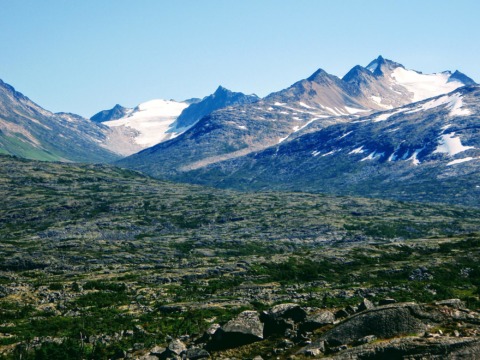 Mid-summer sub alpine tundra and hanging glacier