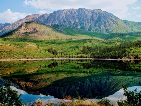 Tagish Lake reflections