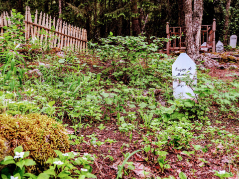 Historic Gold Rush Cemetery
