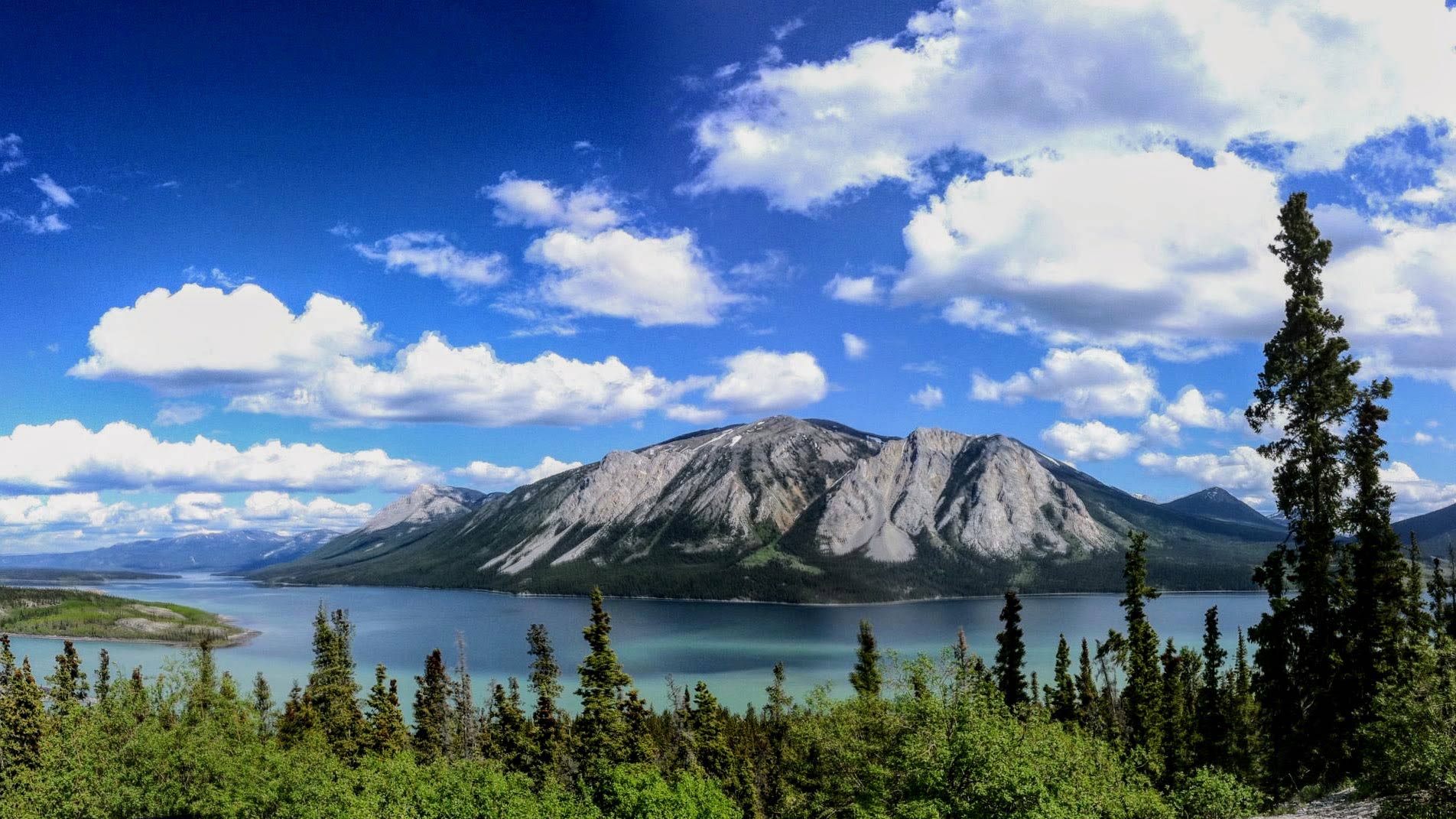 skagway air tours