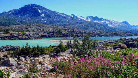 Divided Summit Lake with two water colors