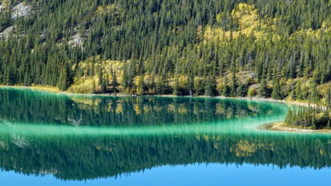 Emerald Lake Reflections